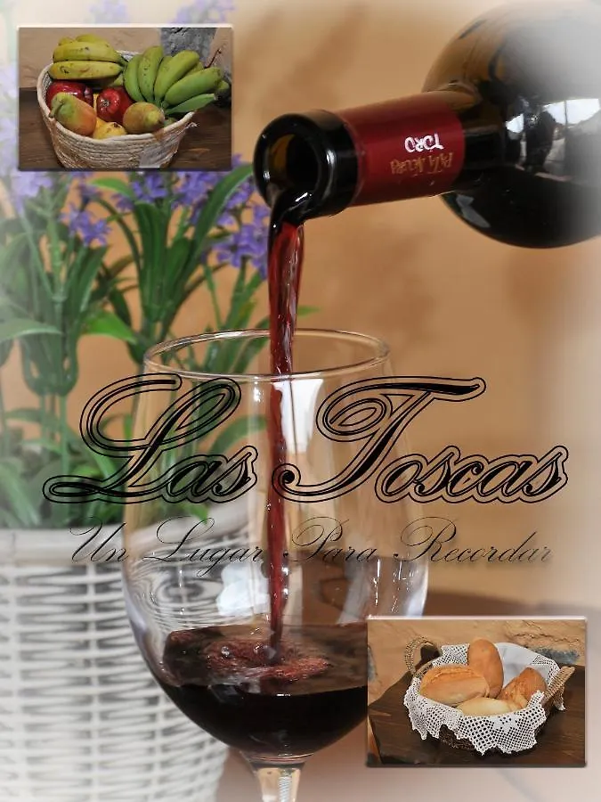 Casa Las Toscas Guest House Ingenio Spain